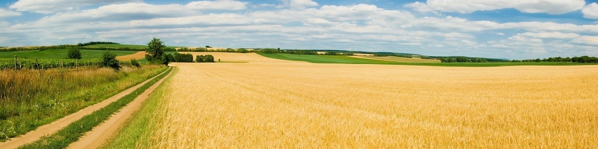 Universita Agraria Sacrofano